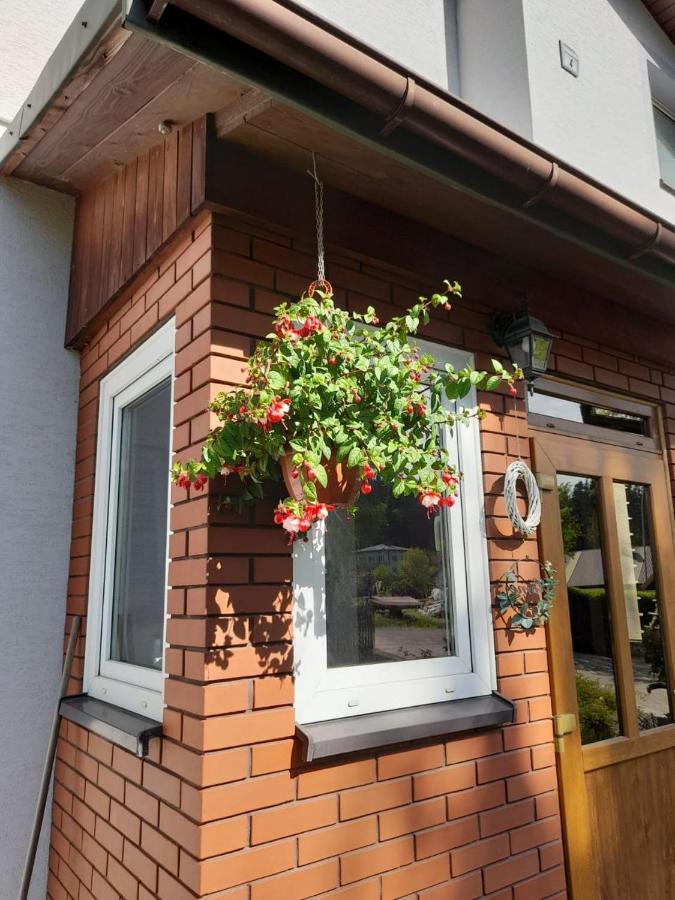 Agroturystyka Stokrotka Rymanów-Zdrój 外观 照片