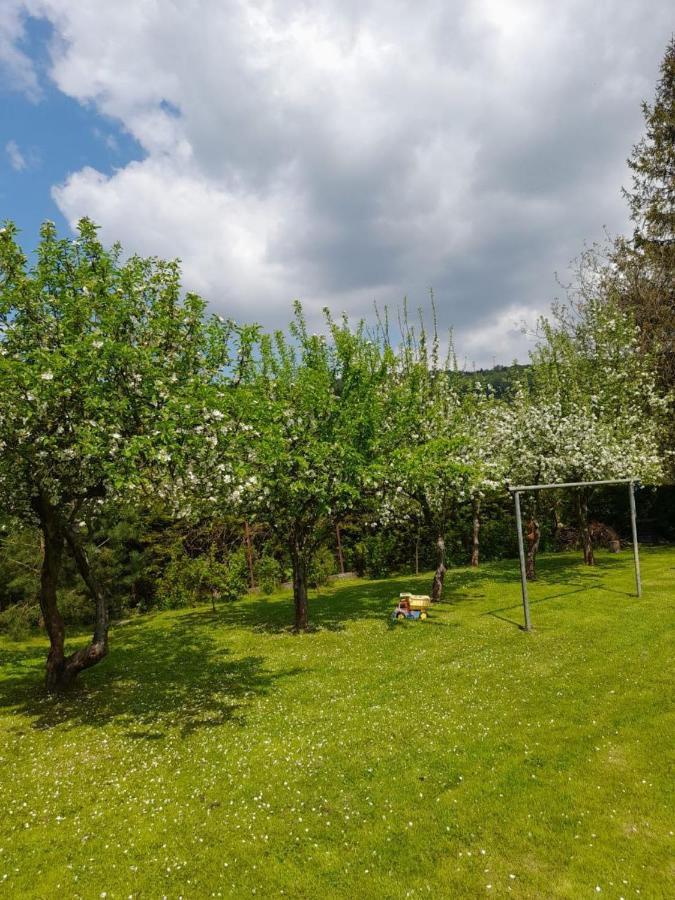 Agroturystyka Stokrotka Rymanów-Zdrój 外观 照片