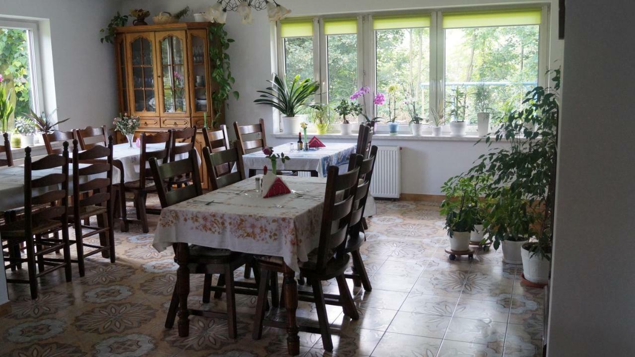 Agroturystyka Stokrotka Rymanów-Zdrój 外观 照片
